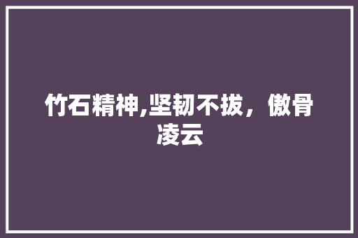 竹石精神,坚韧不拔，傲骨凌云