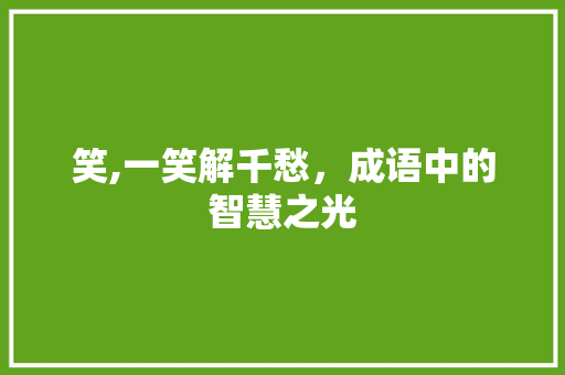 笑,一笑解千愁，成语中的智慧之光 生活类