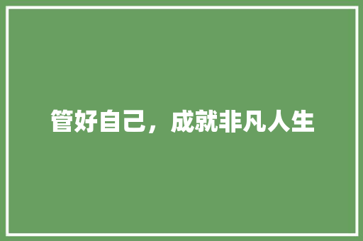 管好自己，成就非凡人生 工作类