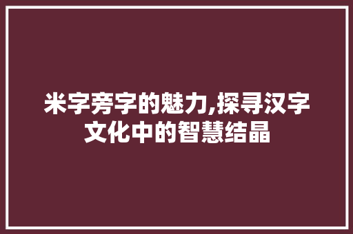 米字旁字的魅力,探寻汉字文化中的智慧结晶