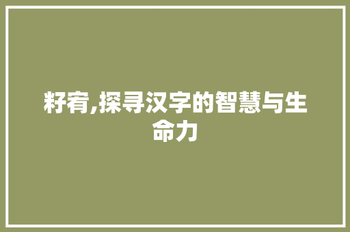 籽宥,探寻汉字的智慧与生命力 生活随笔