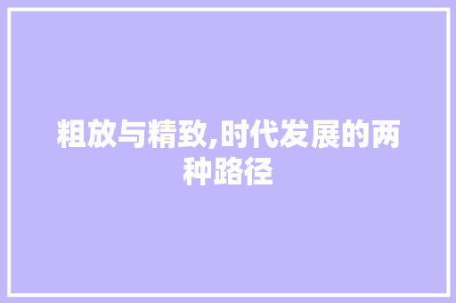 粗放与精致,时代发展的两种路径