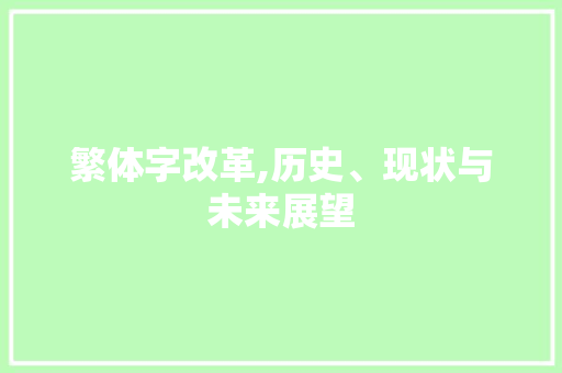 繁体字改革,历史、现状与未来展望 工作报告