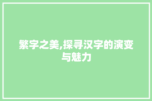 繁字之美,探寻汉字的演变与魅力 工作类