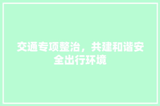 交通专项整治，共建和谐安全出行环境