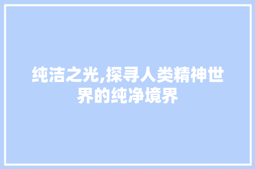 纯洁之光,探寻人类精神世界的纯净境界