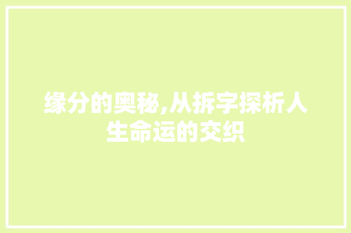 缘分的奥秘,从拆字探析人生命运的交织