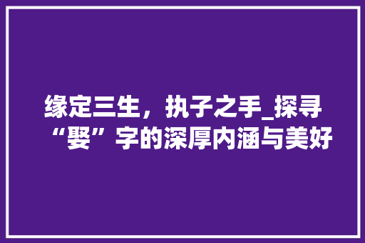 缘定三生，执子之手_探寻“娶”字的深厚内涵与美好寓意
