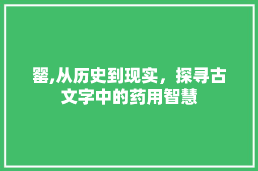 罂,从历史到现实，探寻古文字中的药用智慧