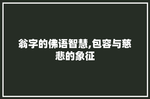 翁字的佛语智慧,包容与慈悲的象征 特写稿