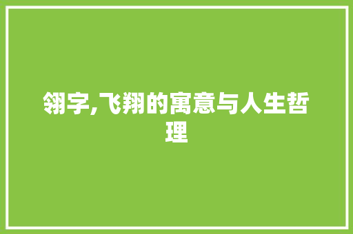 翎字,飞翔的寓意与人生哲理