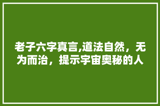 老子六字真言,道法自然，无为而治，提示宇宙奥秘的人生哲学