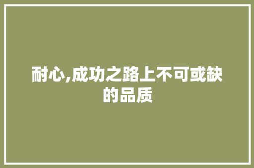 耐心,成功之路上不可或缺的品质 工作总结