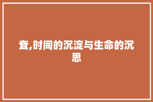 耷,时间的沉淀与生命的沉思 生活类