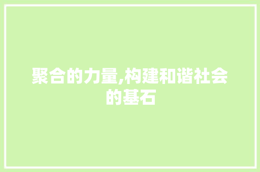 聚合的力量,构建和谐社会的基石