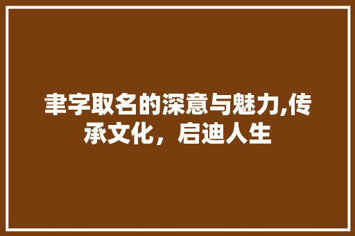 聿字取名的深意与魅力,传承文化，启迪人生