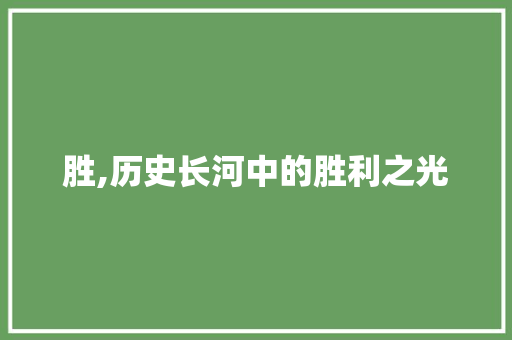 胜,历史长河中的胜利之光 工作总结