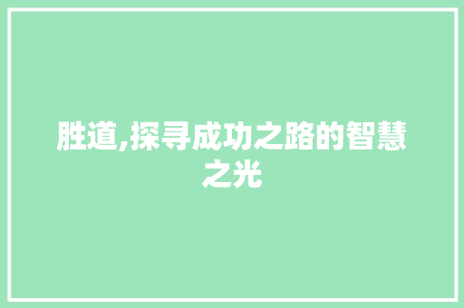 胜道,探寻成功之路的智慧之光