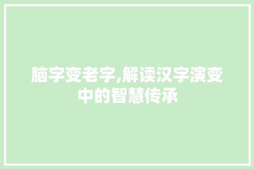 脑字变老字,解读汉字演变中的智慧传承