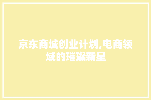 京东商城创业计划,电商领域的璀璨新星