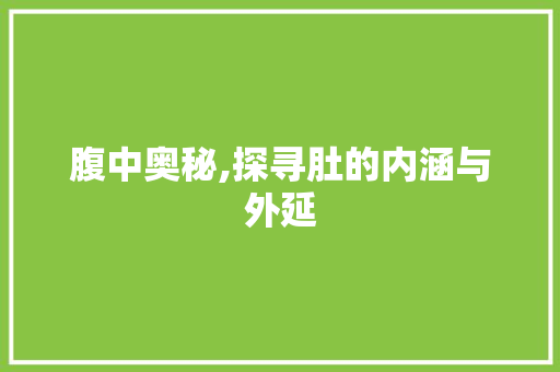 腹中奥秘,探寻肚的内涵与外延 生活随笔