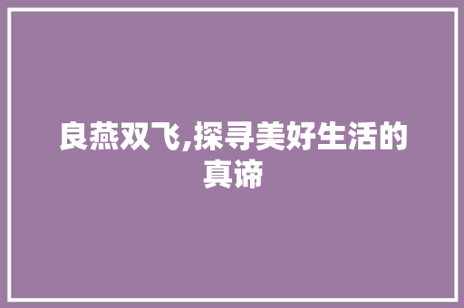 良燕双飞,探寻美好生活的真谛