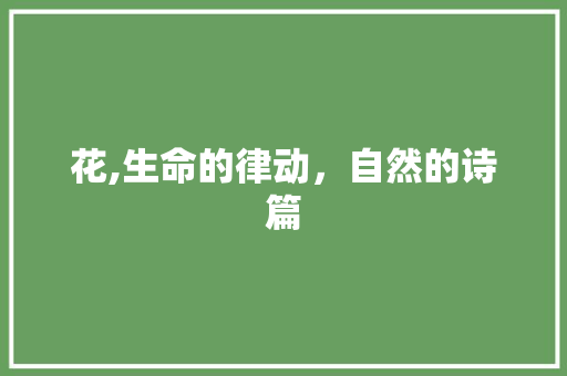花,生命的律动，自然的诗篇