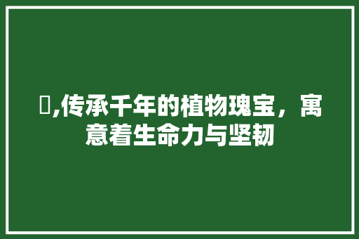 苙,传承千年的植物瑰宝，寓意着生命力与坚韧 特写稿