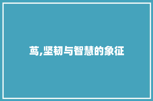 茑,坚韧与智慧的象征 生活随笔