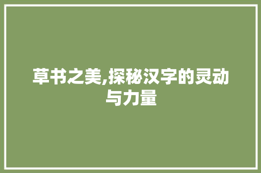 草书之美,探秘汉字的灵动与力量 生活随笔