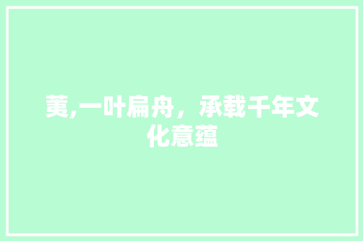 荑,一叶扁舟，承载千年文化意蕴 生活感悟