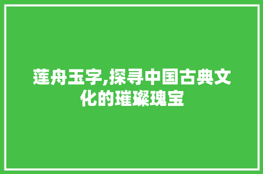 莲舟玉字,探寻中国古典文化的璀璨瑰宝