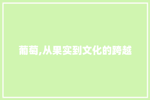 葡萄,从果实到文化的跨越 生活随笔