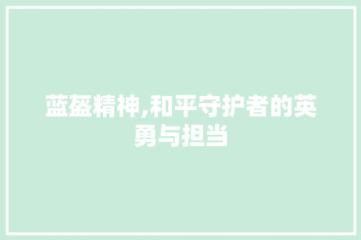 蓝盔精神,和平守护者的英勇与担当