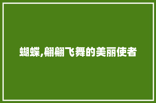 蝴蝶,翩翩飞舞的美丽使者