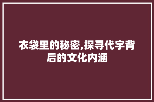 衣袋里的秘密,探寻代字背后的文化内涵