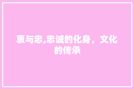 衷与忠,忠诚的化身，文化的传承