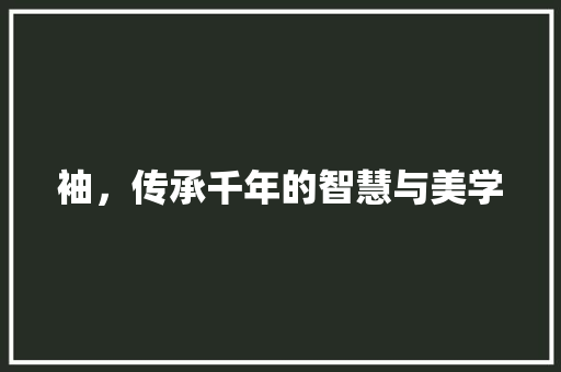 袖，传承千年的智慧与美学