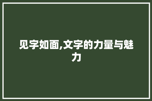 见字如面,文字的力量与魅力