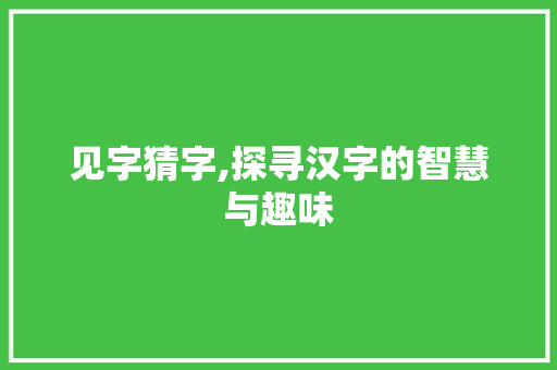 见字猜字,探寻汉字的智慧与趣味