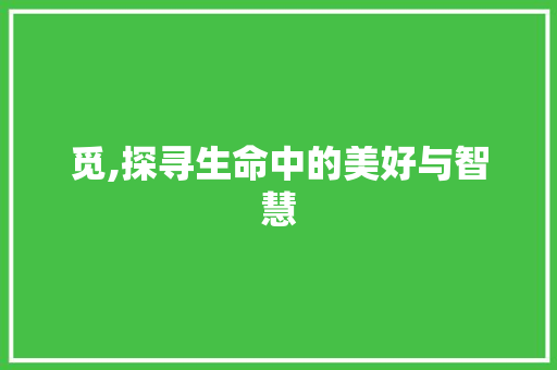 觅,探寻生命中的美好与智慧