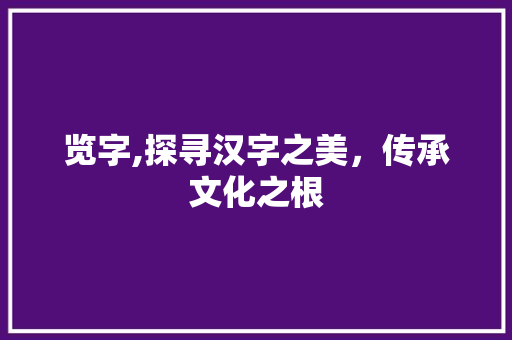 览字,探寻汉字之美，传承文化之根