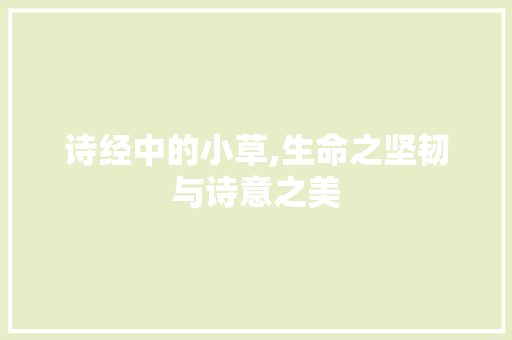 诗经中的小草,生命之坚韧与诗意之美