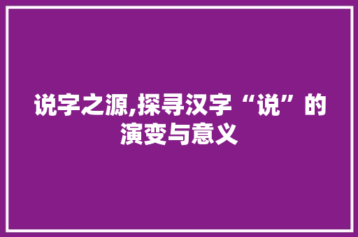说字之源,探寻汉字“说”的演变与意义