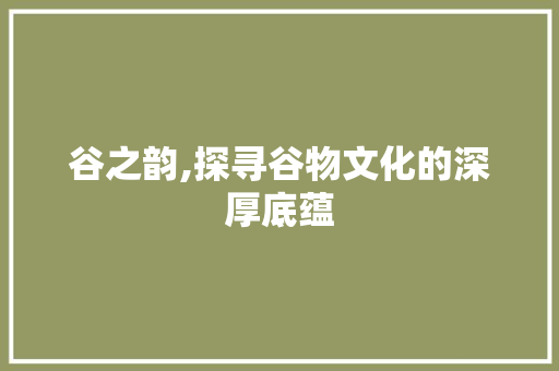 谷之韵,探寻谷物文化的深厚底蕴