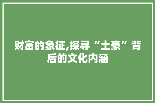 财富的象征,探寻“土豪”背后的文化内涵