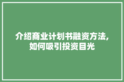 介绍商业计划书融资方法,如何吸引投资目光