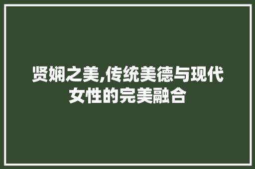 贤娴之美,传统美德与现代女性的完美融合 商业文稿