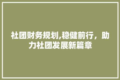 社团财务规划,稳健前行，助力社团发展新篇章