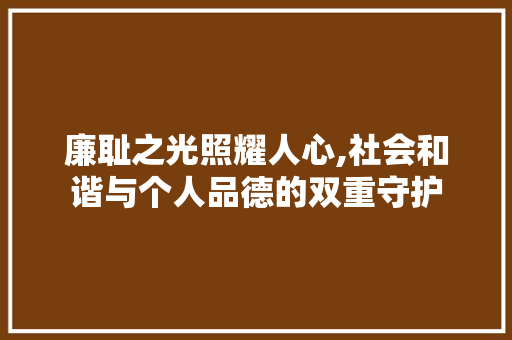 廉耻之光照耀人心,社会和谐与个人品德的双重守护